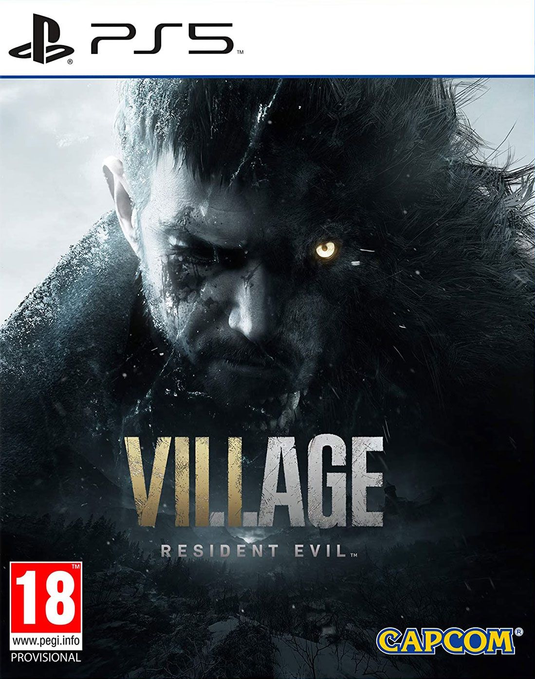 RESIDENT EVIL VILLAGE (PS5)